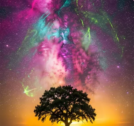 The Secret of the Star Tree (Aurora Borealis)